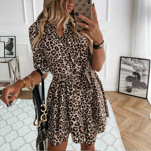 leopard