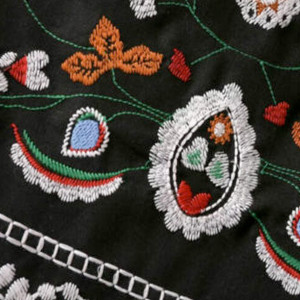 Mini suknja s izvezenim detaljima